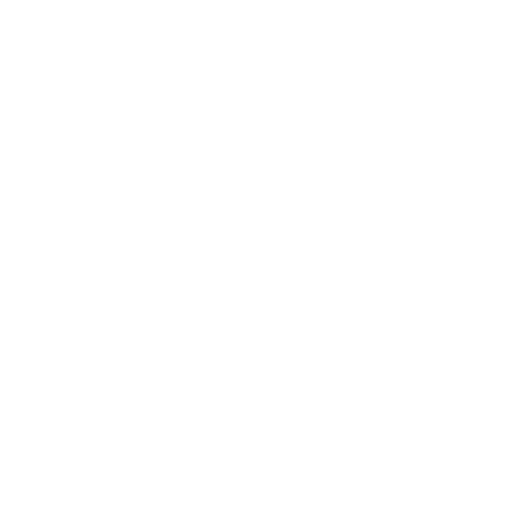 rylotomat.com